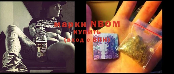 прущий лед Горно-Алтайск