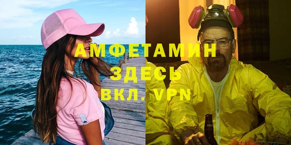 молекула духа Вязьма