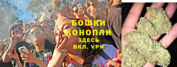 PSILOCYBIN Горнозаводск