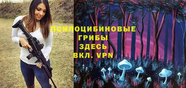 PSILOCYBIN Горнозаводск