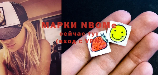 молекула духа Вязьма