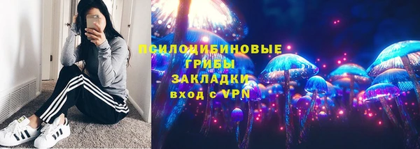 прущие грибы Горняк