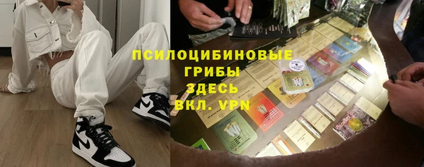 прущие грибы Горняк