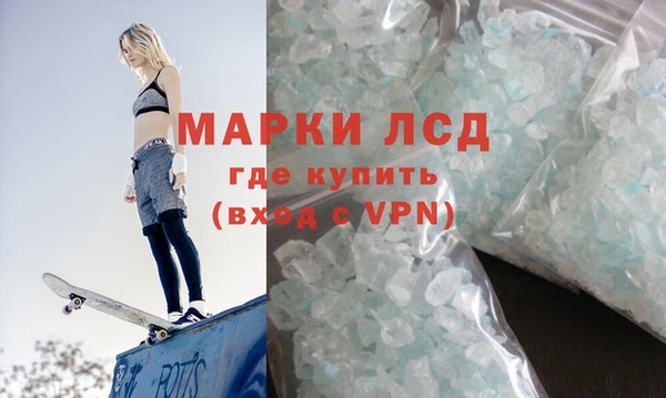 ПСИЛОЦИБИНОВЫЕ ГРИБЫ Гусев