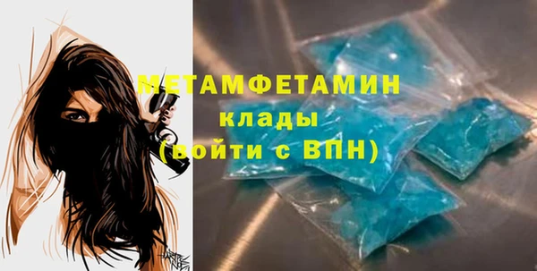 PSILOCYBIN Вяземский